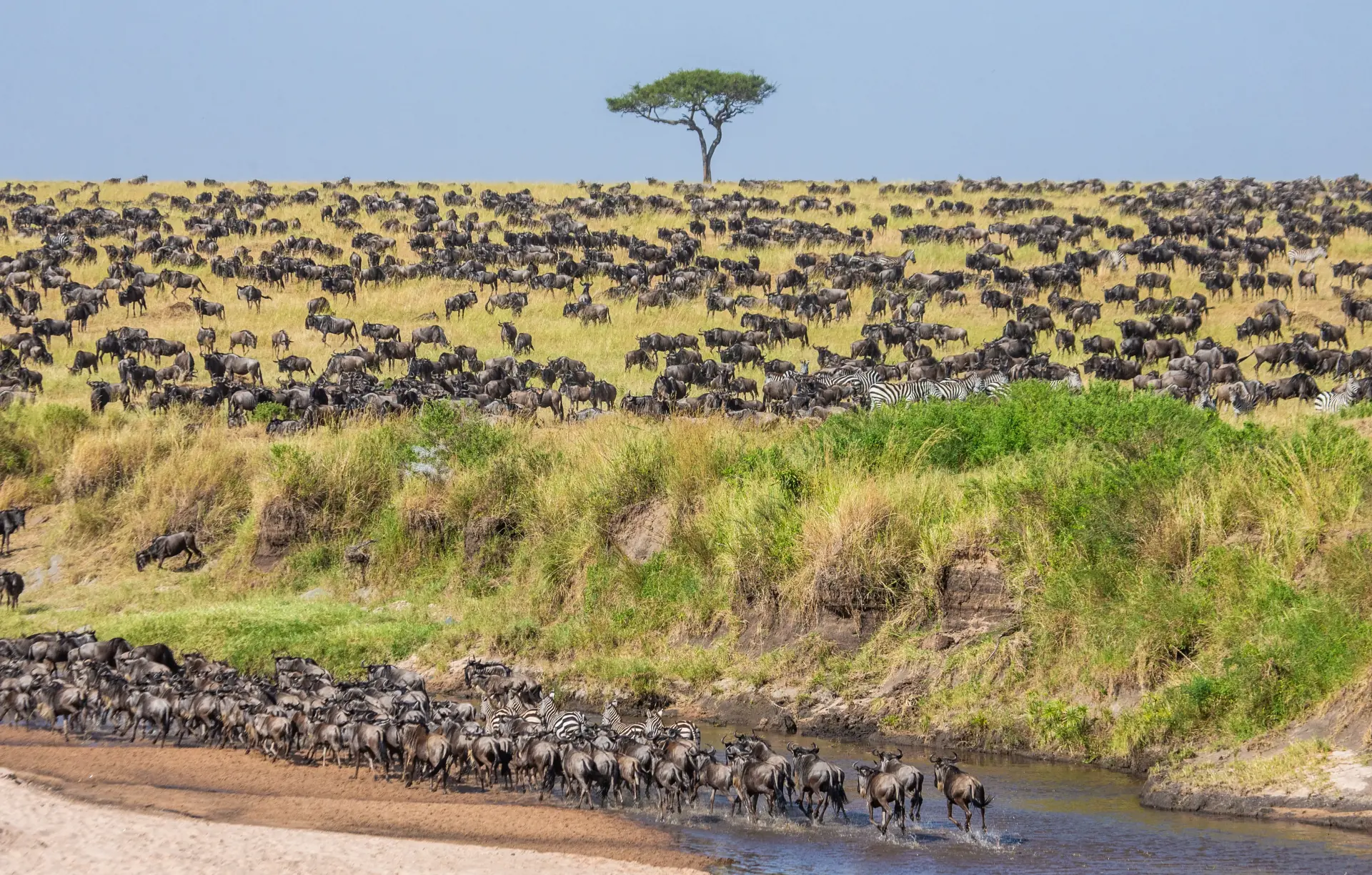 Serengeti National Park