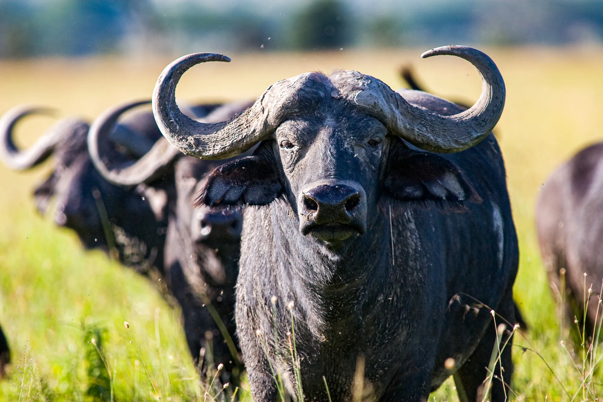 3-Day Nyerere River Safari