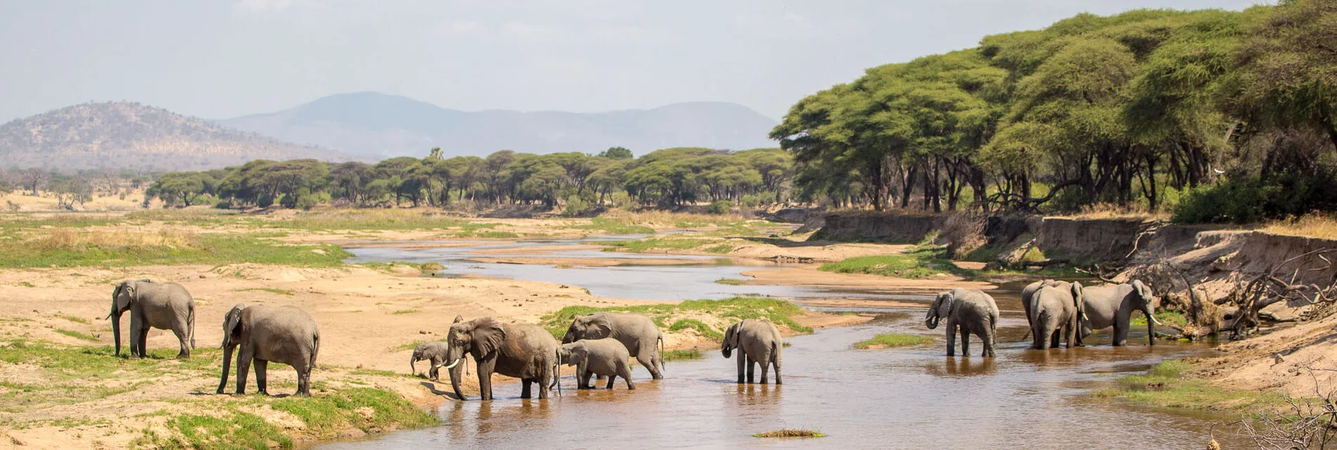 5-Day Ruaha Wilderness