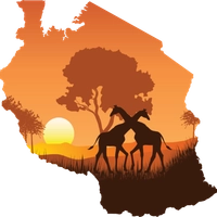 Tanzania Wisdom Safaris